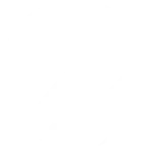 Icon_Niklaus_Consulting_pixel_negativ
